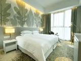 Deluxe Double room with city view
