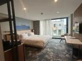 Standard (Accessible) Double room
