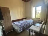 Standard Single room with view
