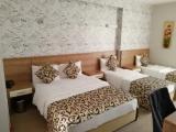 Standard Triple room with city view