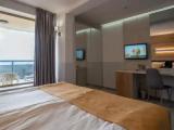 Standard Double room with balcony and with sea view