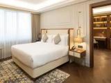 Executive Double Club Suite