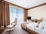 Premium room with garden view