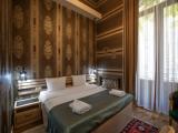 Standard Double room with balcony and with mountain view