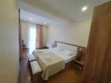 Standard Double room with balcony and with garden view