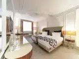 Premium Twin room