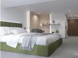 Standard Plus Double room