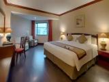 Deluxe Double room with view