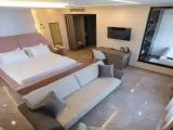 Standard Family room with view
