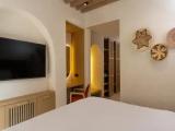 Standard Double room with garden view