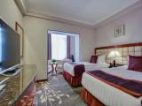 Standard Double room with balcony and with view