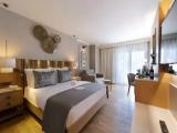 Superior room with land view