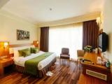 Standard Double room with view
