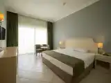 Standard Triple room with land view