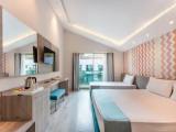 Standard room with balcony and with land view