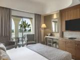 Standard Double room with balcony and with land view