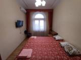 2-room Standard Double room with balcony and with park view