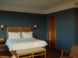Double Junior Suite with balcony and with mountain view