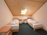 Standard Attic room