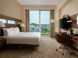 Standard Double room with balcony and with mountain view