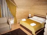 Standard Penthouse room