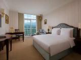 Superior Double room with park view