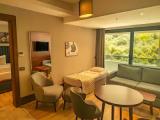 Executive Family room with balcony and with mountain view