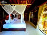 Jungle Premium Double Bungalow with balcony and with garden view