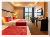Standard Triple room with view