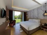 Superior Double room with balcony and with city view