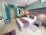 Standard Double room with balcony and with park view