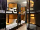 Bed in Dorm