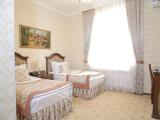 Standard Twin room with view