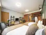 Premium Twin room with city view