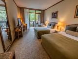 Standard Double room with balcony and with garden view