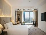 Diplomatic Double Suite Skyline