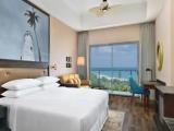 Standard Double room with ocean view