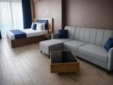 Deluxe room with balcony and with city view