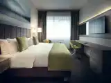 Business Double Suite with view