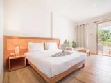 Deluxe Double room with balcony and with pool view