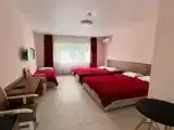 Standard Family room with balcony and with view
