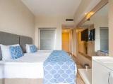Standard Triple room with land view