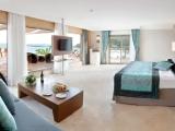 Terrace Suite