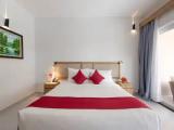 Premium room with balcony and with pool view