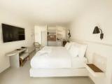 Double Studio with garden view