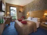 Deluxe Double room with garden view