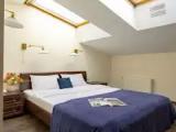 Standard Double Attic room