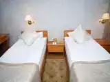Standard Twin room with balcony