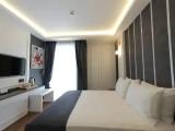 Deluxe Double room with balcony and with park view