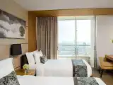 1 Bedroom Skyline Double Suite with balcony and with city view